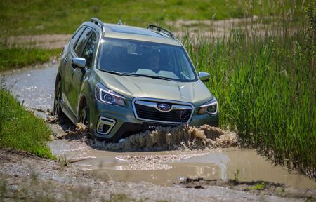NOVINKA !!!  SUBARU Forester MR 2020  e-Boxer !!! + ' ' + <p class="s-align-center">Nabízíme nový model SUBARU Forester MHEV 2,0 CVT k dodání prosince - leden 2019</p><p class="s-align-center">výbava Tend, Active, Comfort, Executive  ....... více informací na tel. 608 442 000.</p><p class="s-align-center">test .....</p><p class="s-align-center"><span style="letter-spacing: 0px;"> https://auto-mania.cz/subaru-predstavuje-novy-hybrid-e-boxer-dostanou-ho-jako-prvni-forester-a-xv/</span><br></p> 